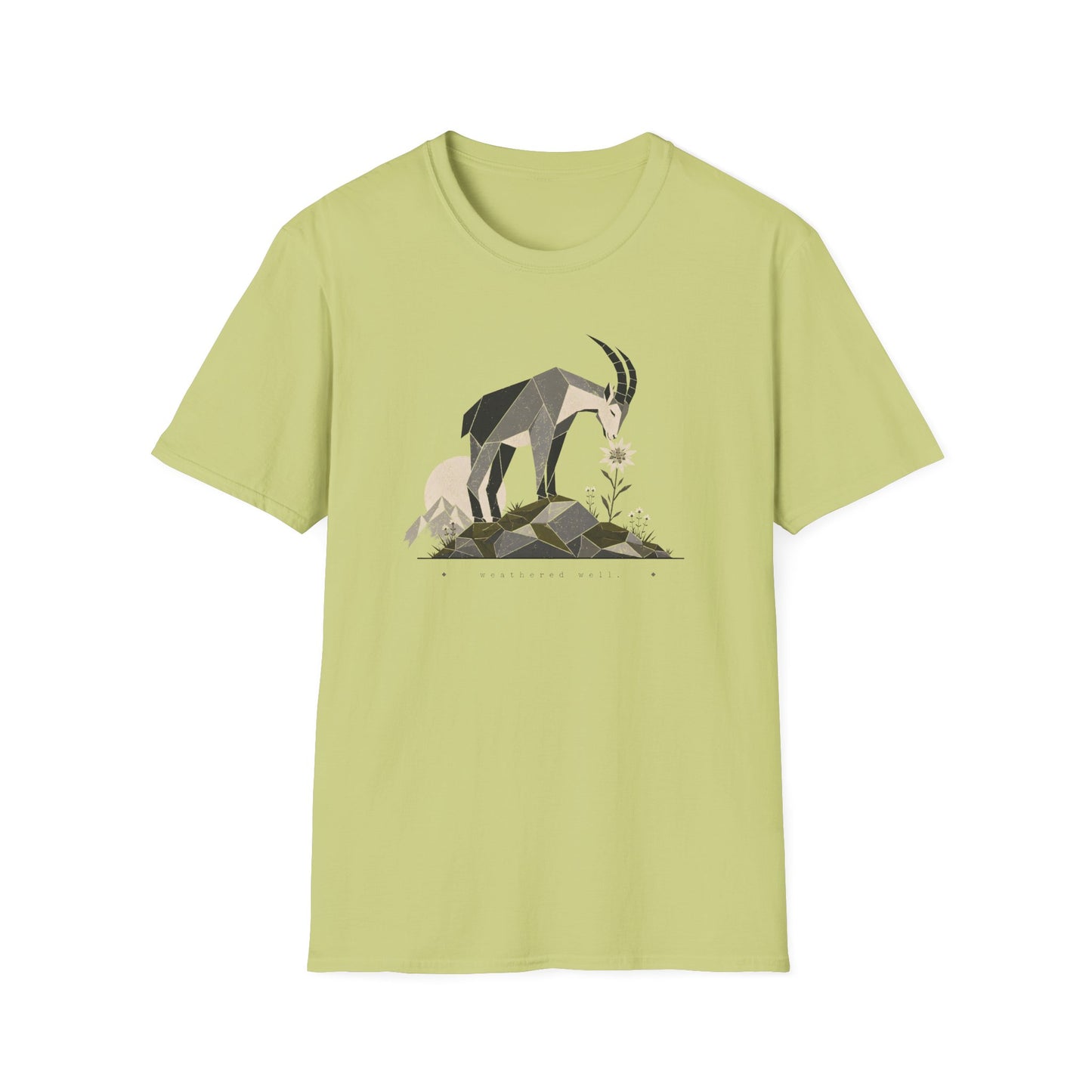Weathered Well T-Shirt
