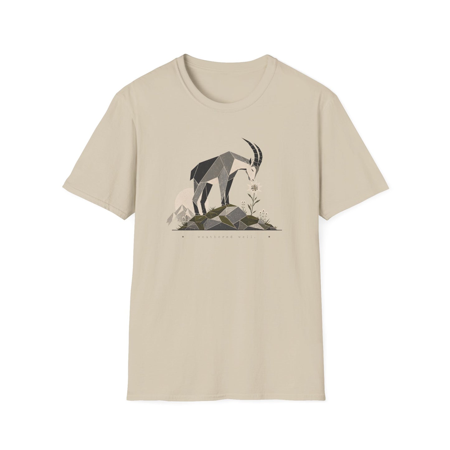 Weathered Well T-Shirt
