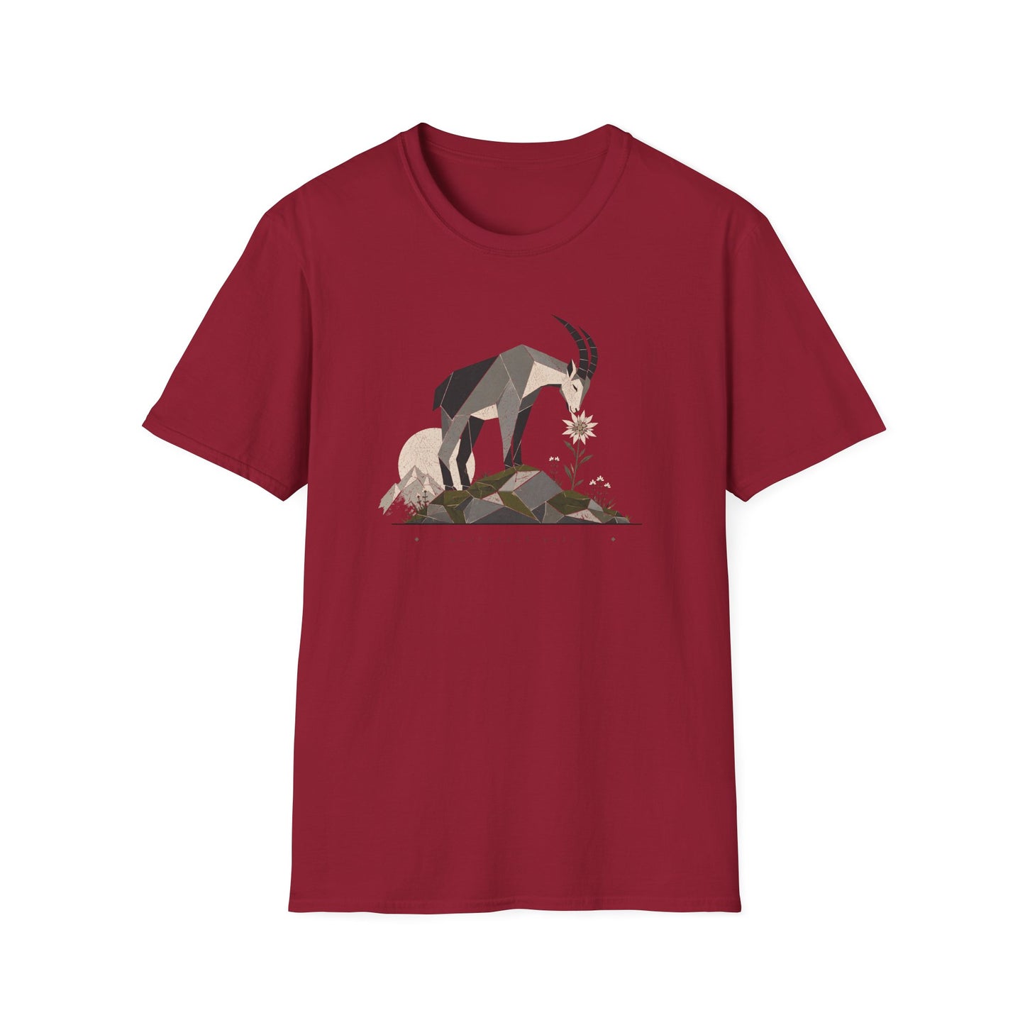 Weathered Well T-Shirt