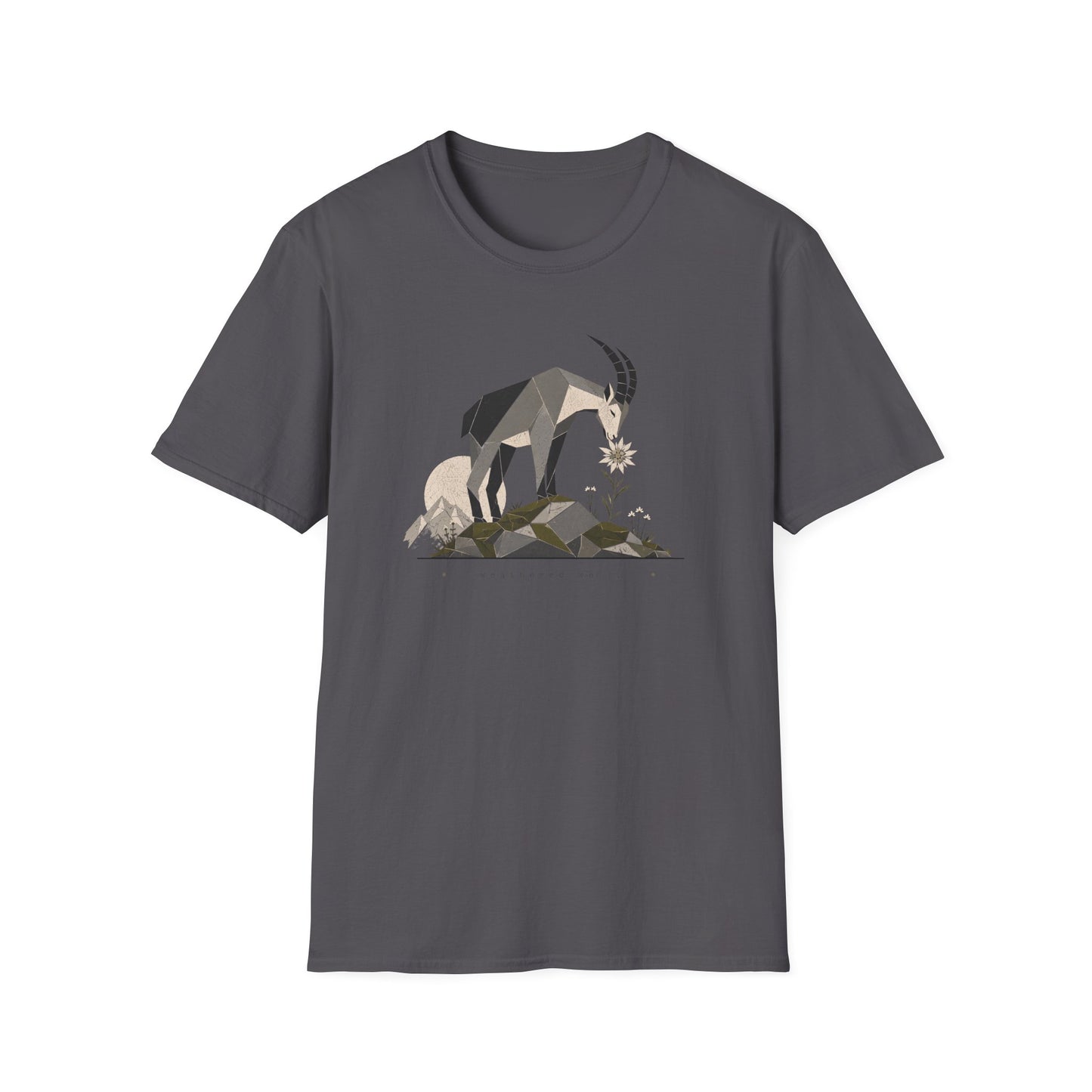 Weathered Well T-Shirt
